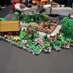 IMG_4434